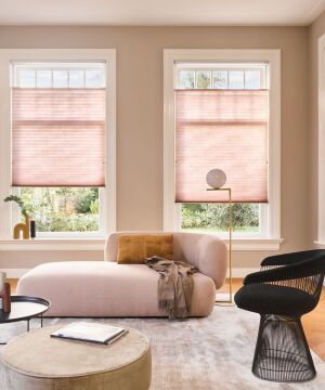 Luxaflex® Duette® Shades